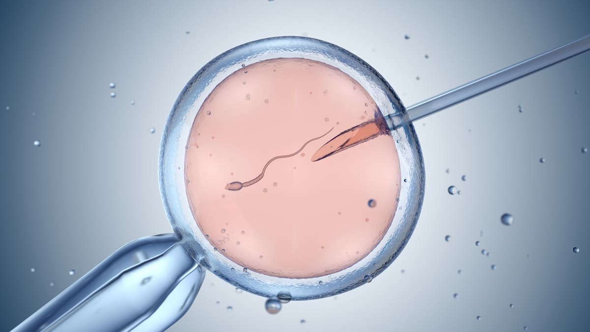 Corte reitera llamado al Congreso para regular la fertilización In Vitro