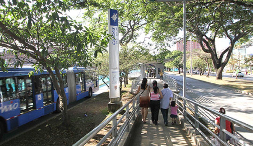 Imagen de referencia