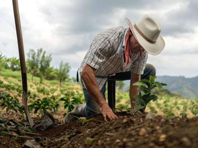 La invasión de Rusia a Ucrania también podría golpear al agro colombiano