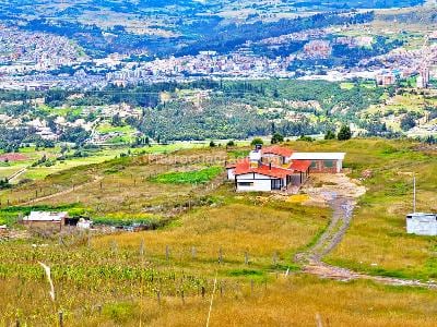 La Policía intensifica la búsqueda tras el robo de ganado en Tunja, utilizando cámaras de seguridad y redes de apoyo para rastrear a los delincuentes.