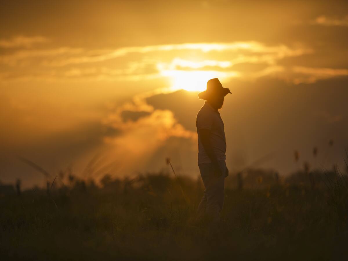 Lista completa de municipios de Arauca por orden de población de mayor a menor: Son menos de 10