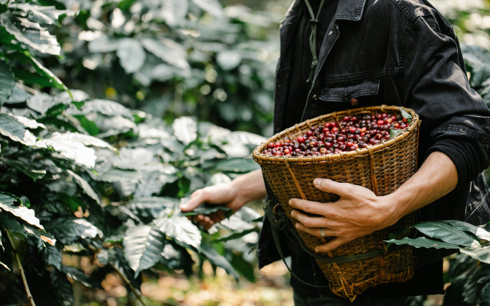 Fotografía suministrada