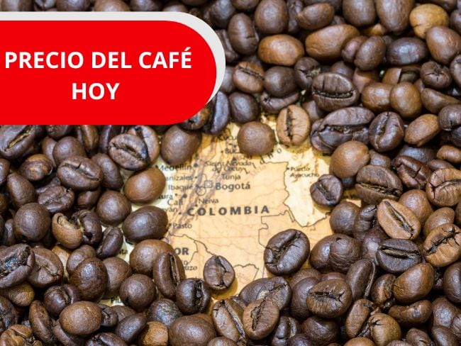 Imagen de referencia, Gettyimages y Canva.