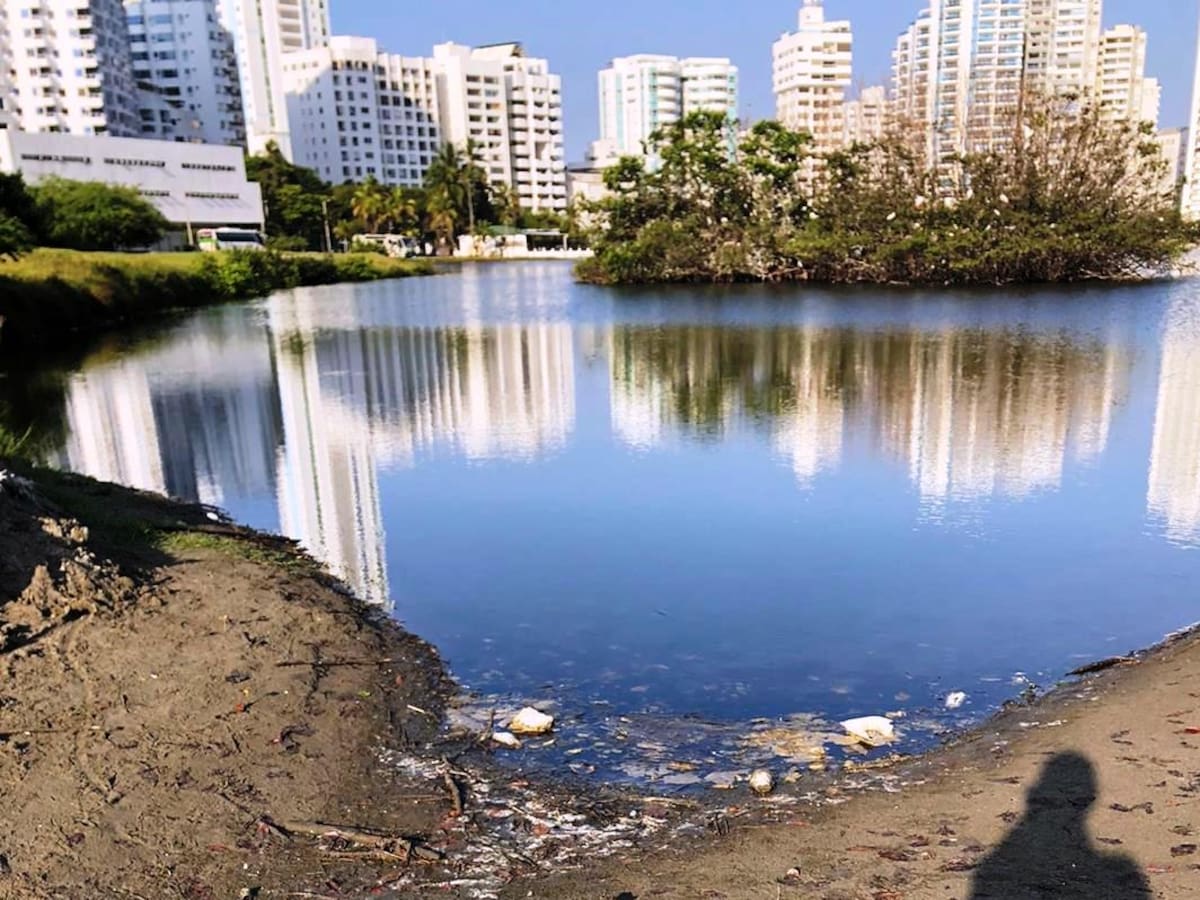 Comunidad del Laguito presentó incidente de desacato por cierre del cuerpo de agua