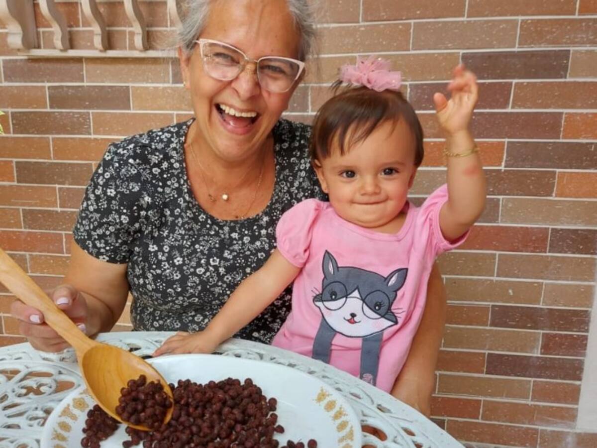 VIDEO: Salieron las primeras hormigas culonas