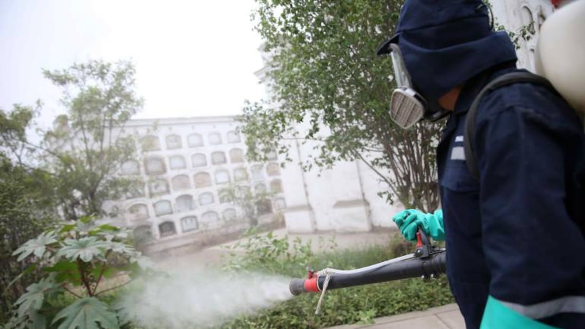 La OMS respalda el uso de mosquitos transgénicos para combatir el zika