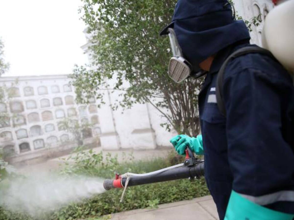 La OMS respalda el uso de mosquitos transgénicos para combatir el zika