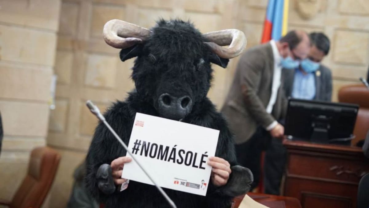 En el 2022 no habrá temporada taurina en Bogotá