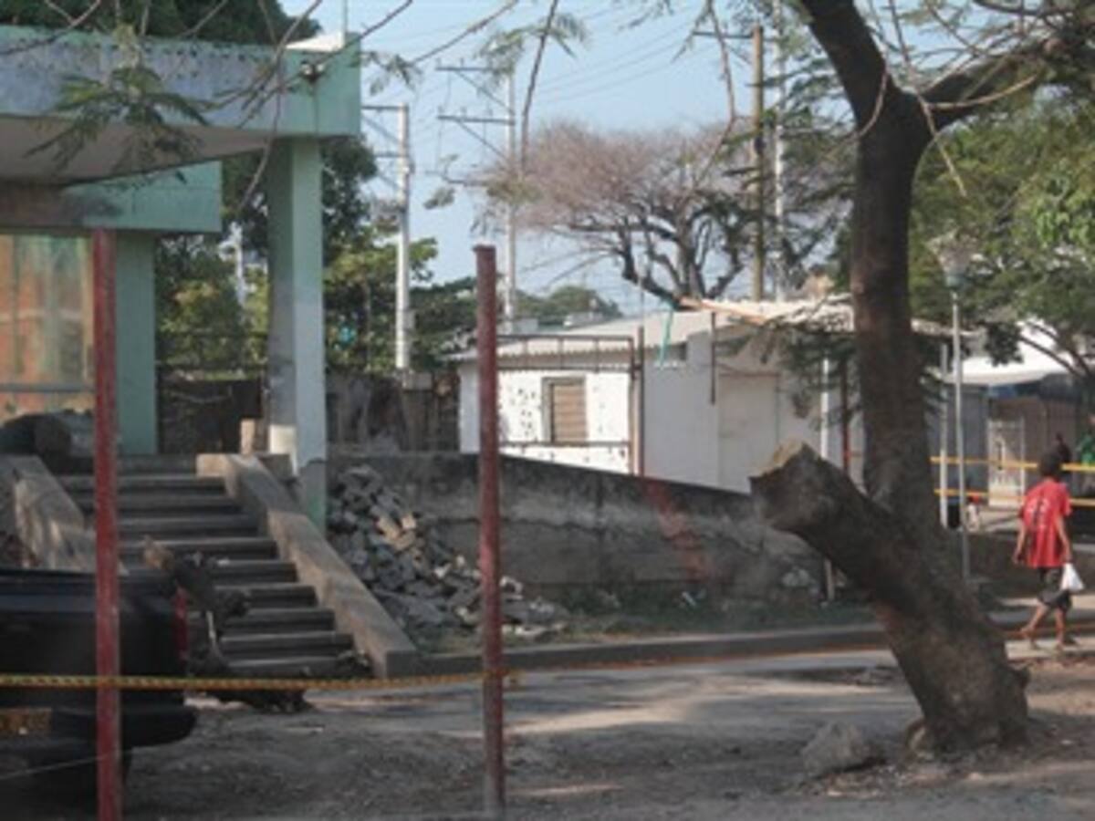 Clínica en Cartagena aclara que no cometió arboricidio