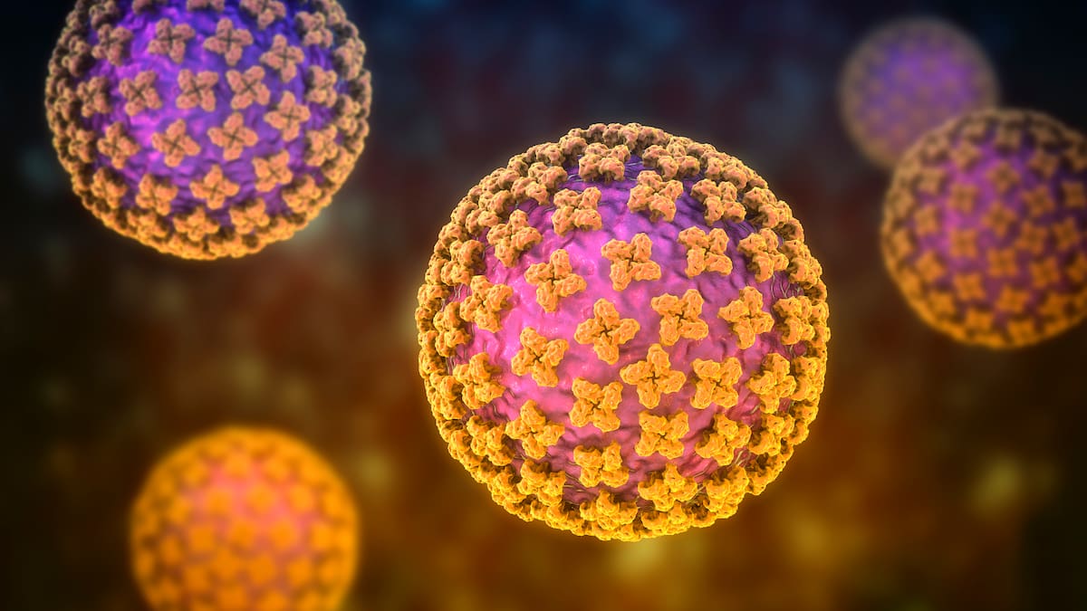 ¿Cómo se contagia el hantavirus; hay riesgo en Colombia? Estos son los síntomas de alerta