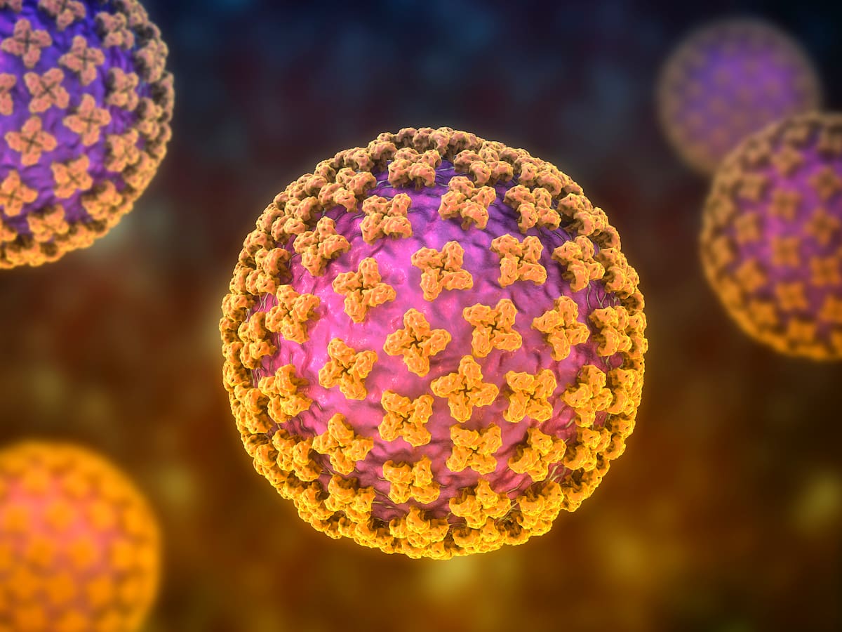 ¿Cómo se contagia el hantavirus; hay riesgo en Colombia? Estos son los síntomas de alerta