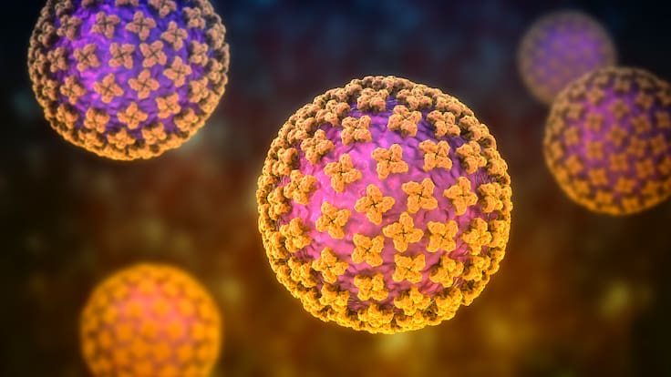 ¿Cómo se contagia el hantavirus; hay riesgo en Colombia? Estos son los síntomas de alerta