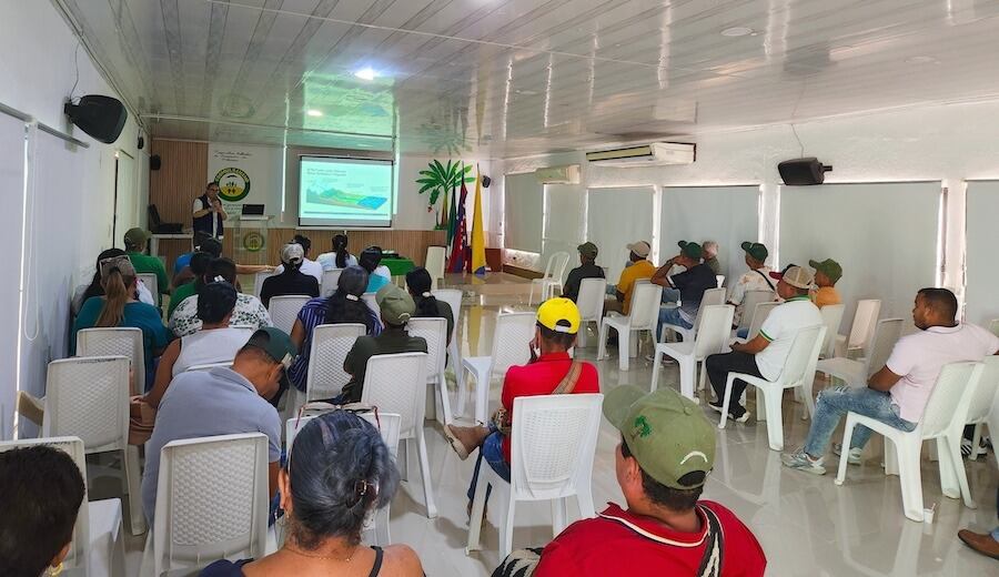Productores bananeros de Magdalena, Atlántico y Guajira se preparan ante los efectos de El Niño/ Asbama.