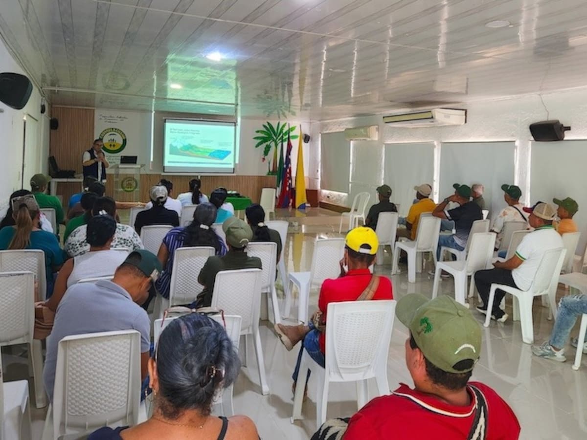 Productores bananeros de Magdalena, Atlántico y Guajira se preparan ante los efectos de El Niño