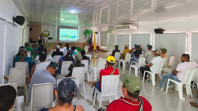 Productores bananeros de Magdalena, Atlántico y Guajira se preparan ante los efectos de El Niño/ Asbama.
