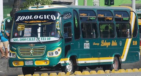 Bus empresa Lolaya - Imagen de referencia