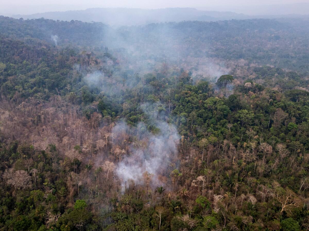 Deforestación, turismo y finanzas, los retos para las zonas de reserva natural