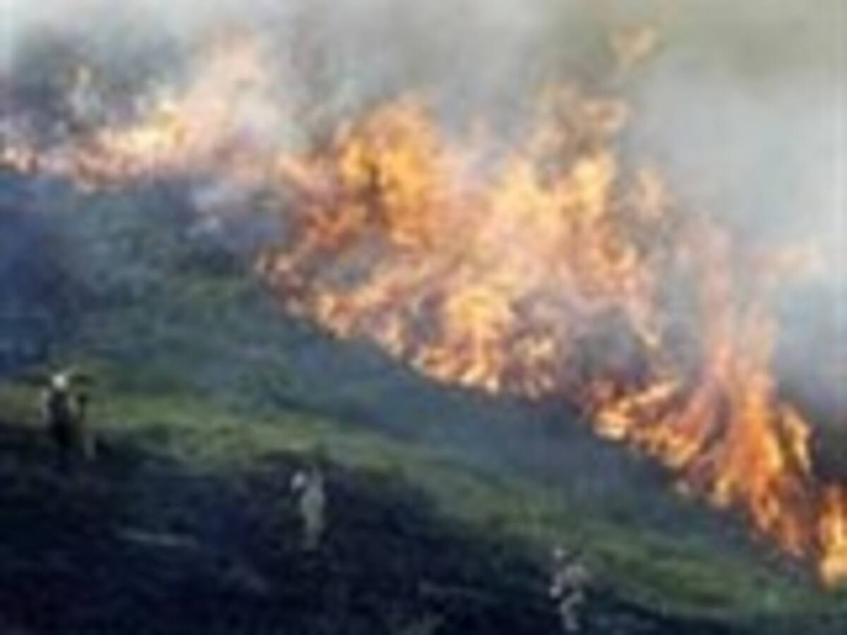 Quienes ocasionen incendios forestales podrían ser sancionadas con cárcel y con multas de hasta cinco mil salarios mínimos