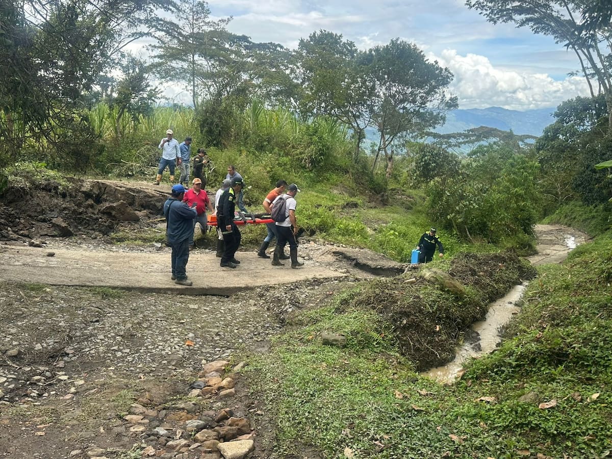 33 familias pierden sus cultivos y ganado por remoción en masa en vereda de San José de Pare