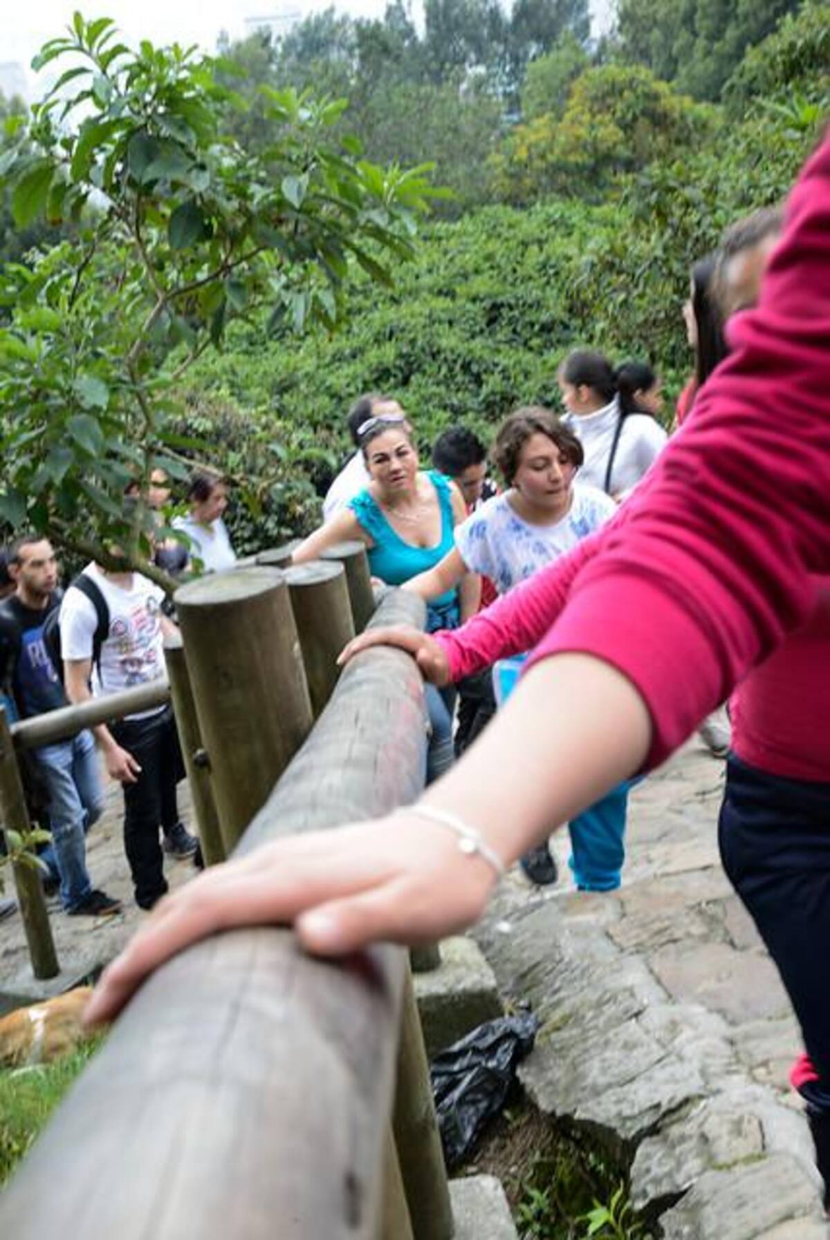 Se han registrado miles de visitantes, un promedio de 3.000 personas por hora, es decir unos 50 personas por minuto. Se espera que el total de las visitas sea alrededor de 65.000.