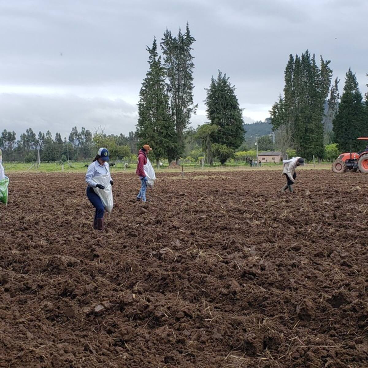 UPTC logra acreditación de alta calidad por ocho años en Ingeniería Agronómica