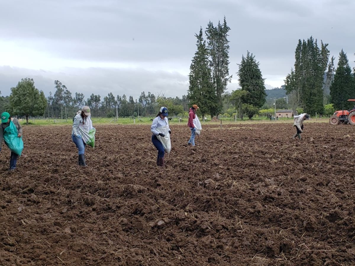 UPTC logra acreditación de alta calidad por ocho años en Ingeniería Agronómica
