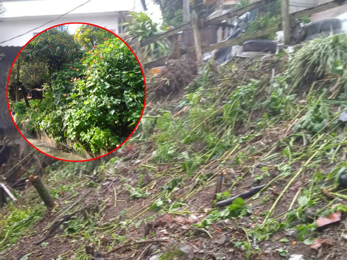 Comunidad denuncia destrucción ilegal de zona verde en el Popular 1 de Medellín