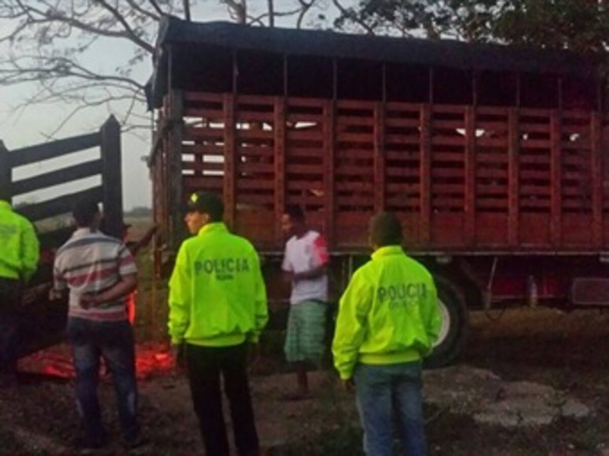 Policía recupera 30 reses hurtadas en zona rural de Arjona, Bolívar