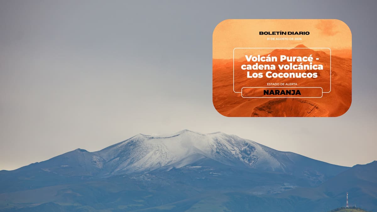 Lo último del volcán Puracé, ¿Qué ha reportado el Servicio Geológico? Así es el ‘enjambre sísmico’