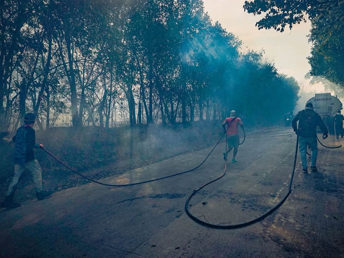 Tolima: un mes bajo el fuego y más de 51 mil hectáreas de vegetación y cultivos arrasados
