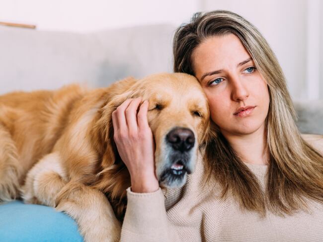 ¿Dueños de mascotas en conjuntos residenciales con nueva obligación legal? Ojo a sanciones y multas. Getty Images