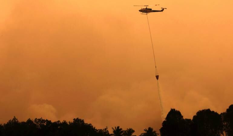 Altas temperaturas provocan enormes incendios forestales.