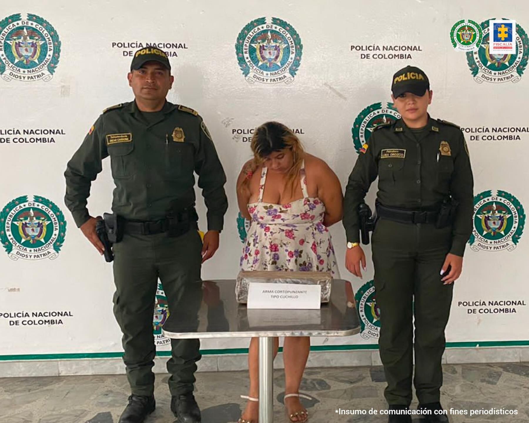 Mujer capturada en Ibagué