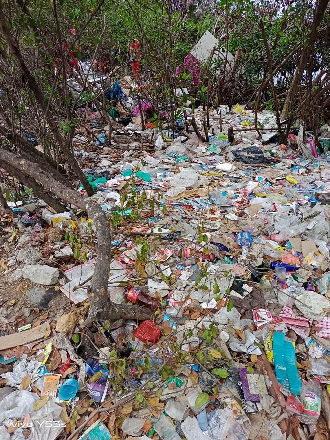 Fundación Verde que te quiero Verde