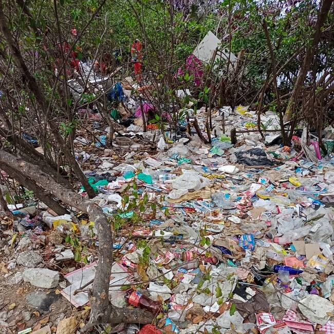 Fundación Verde que te quiero Verde