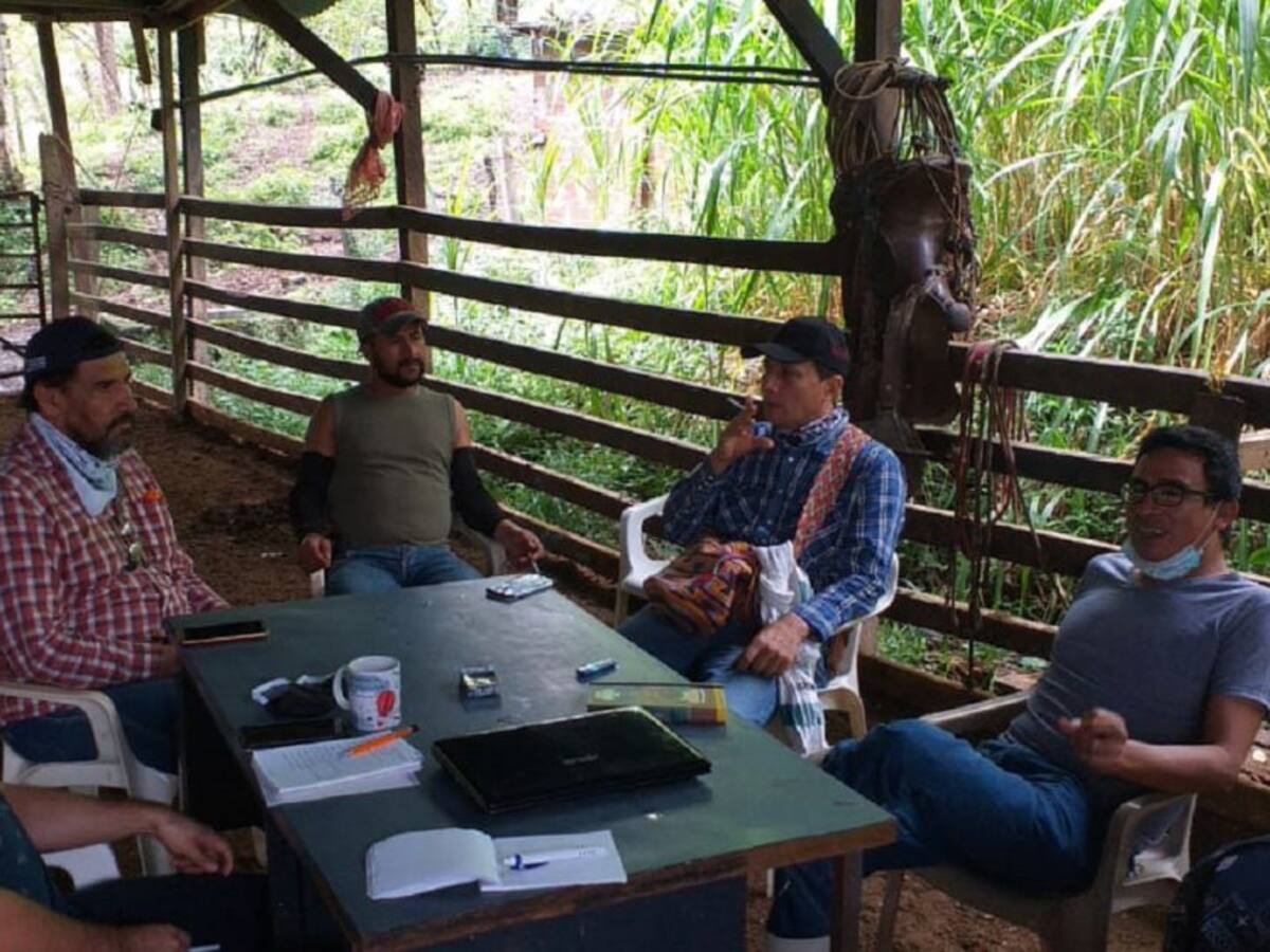 Tomate, fríjol, cebolla, ahora son cultivos de paz