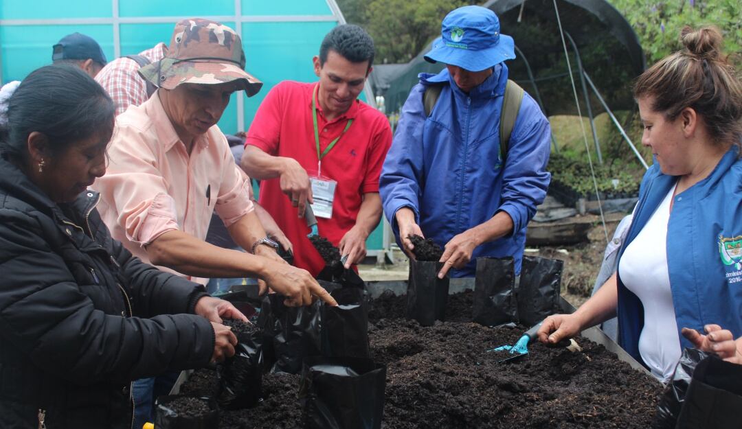 Las bolsas deben llenarse antes de realizar el trasplante para asegurar que las plantas no duren mucho tiempo por fuera de la tierra.