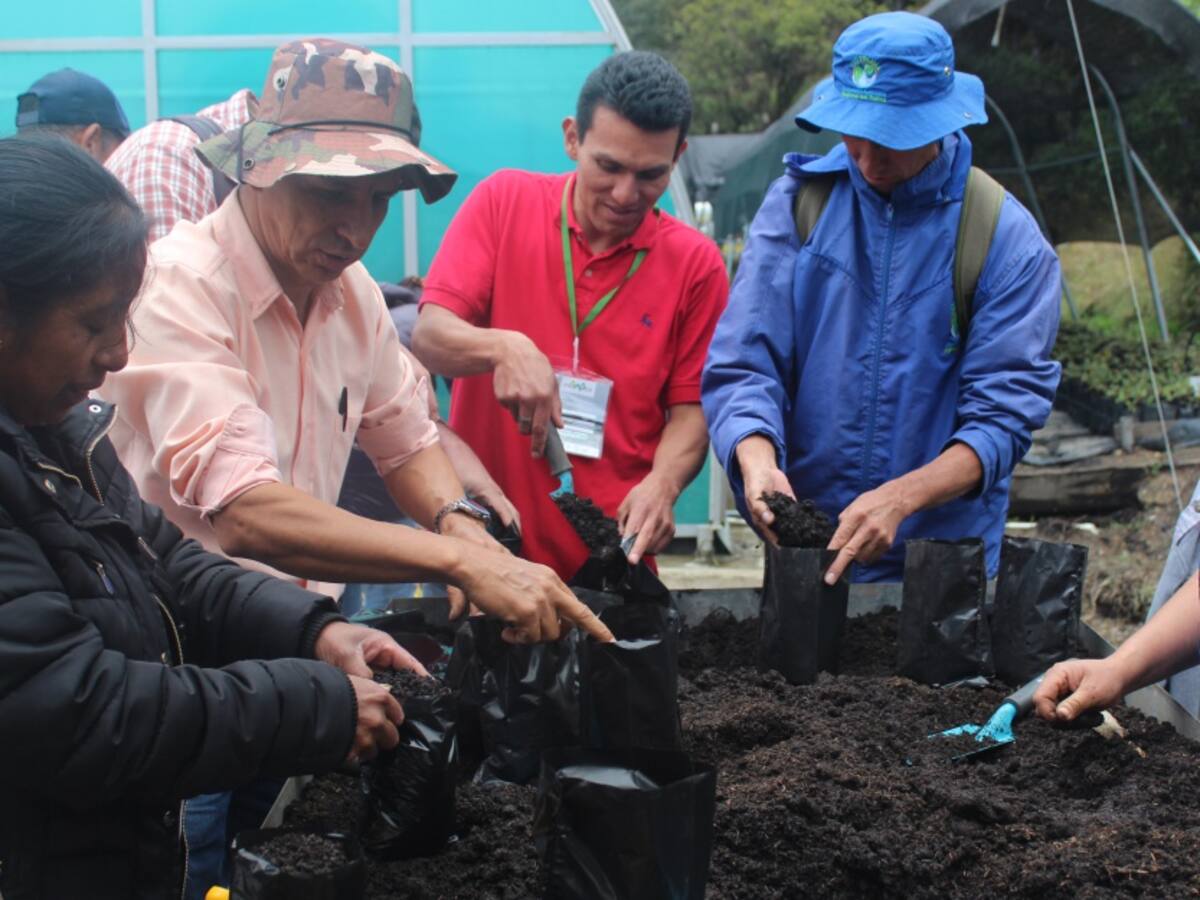 Viveros comunitarios, aliados para restaurar los páramos de Colombia