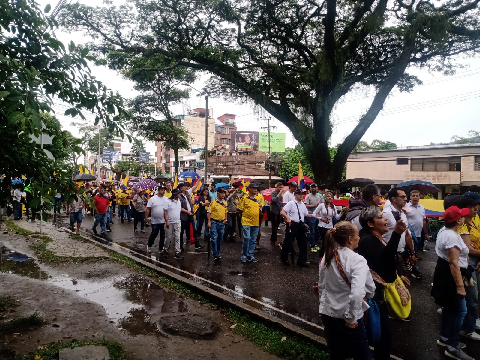 La movilización avanzó por la carrera Quinta de Ibagué