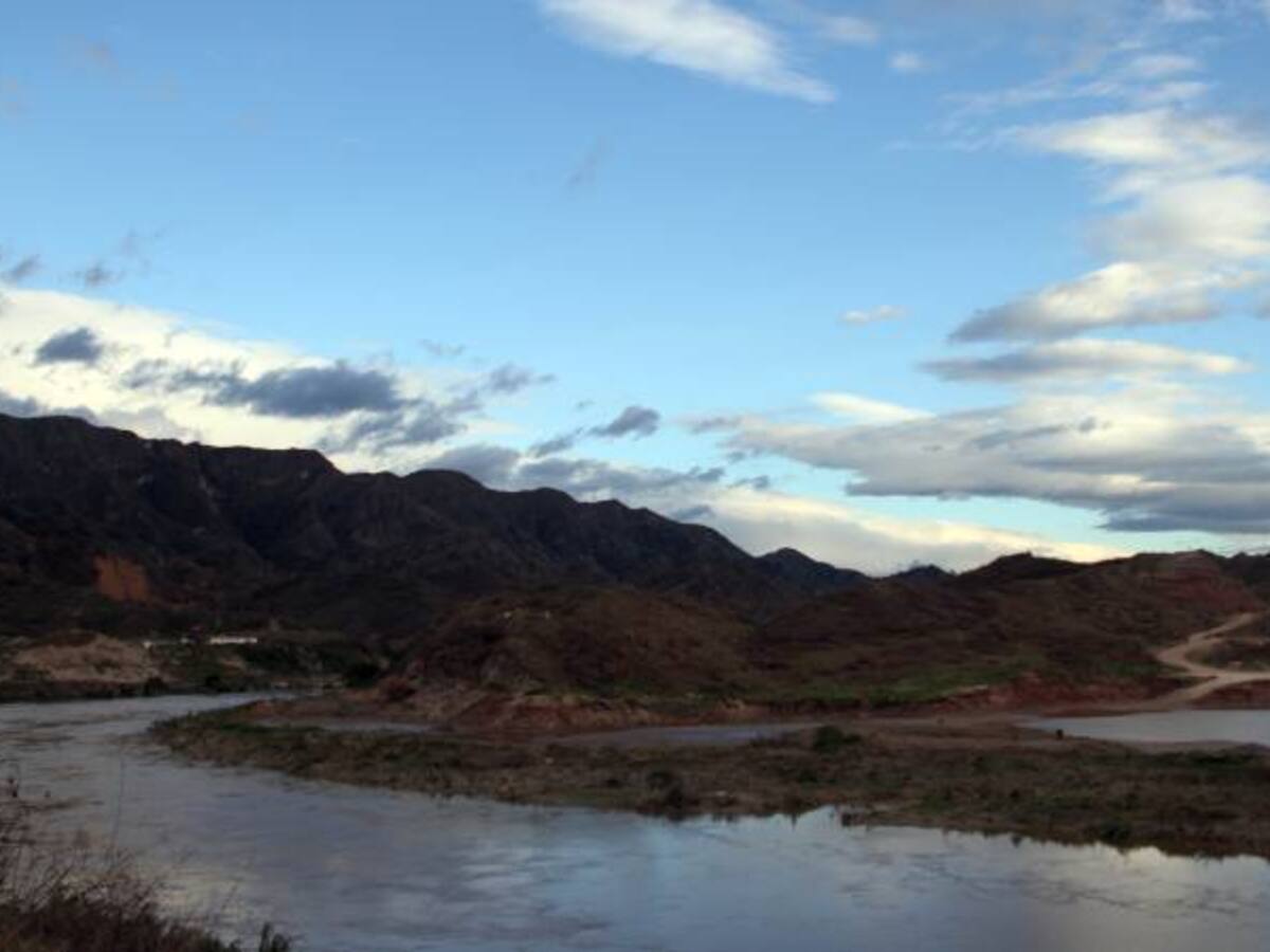 Mortandad de peces en Betania podría deberse a mal manejo ambiental