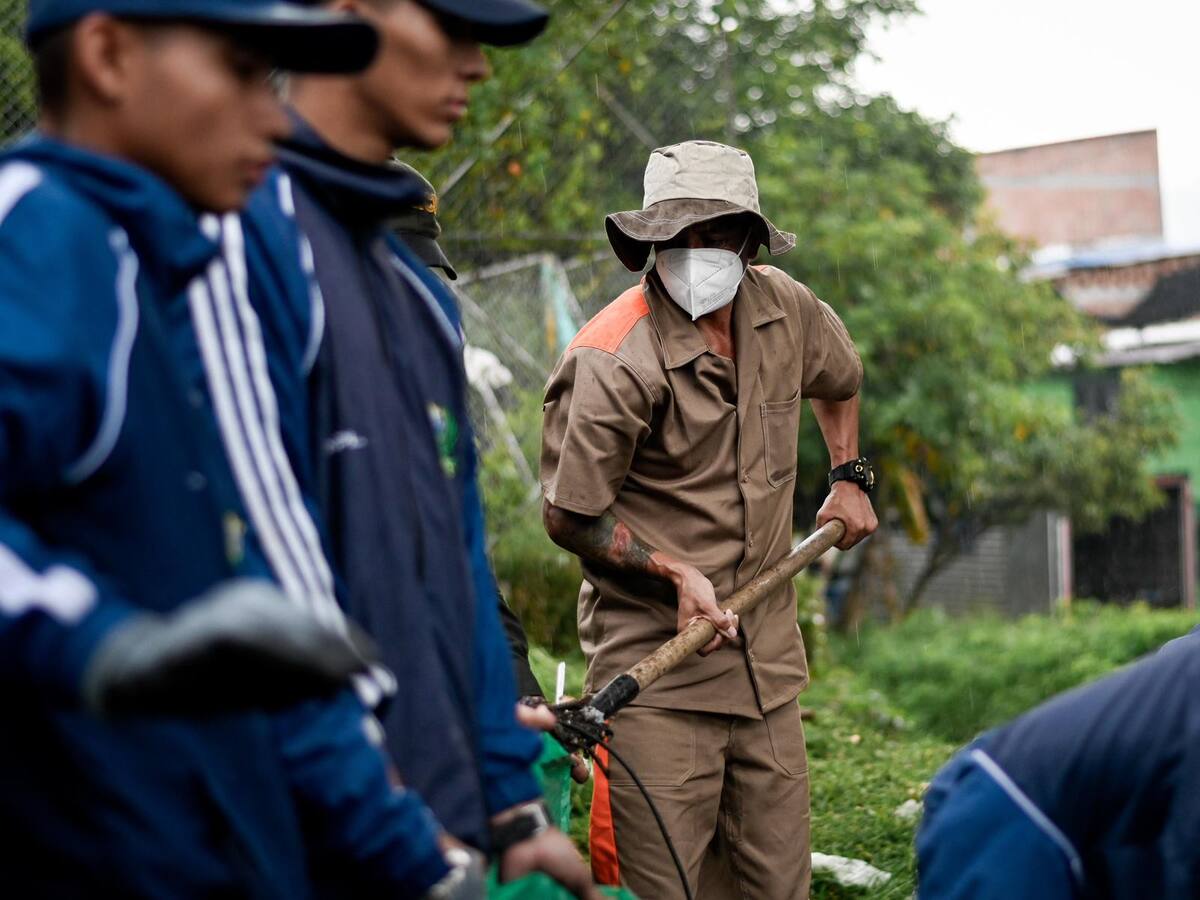 Reclusos de la cárcel de Ibagué trabajaban embelleciendo los parques en los barrios