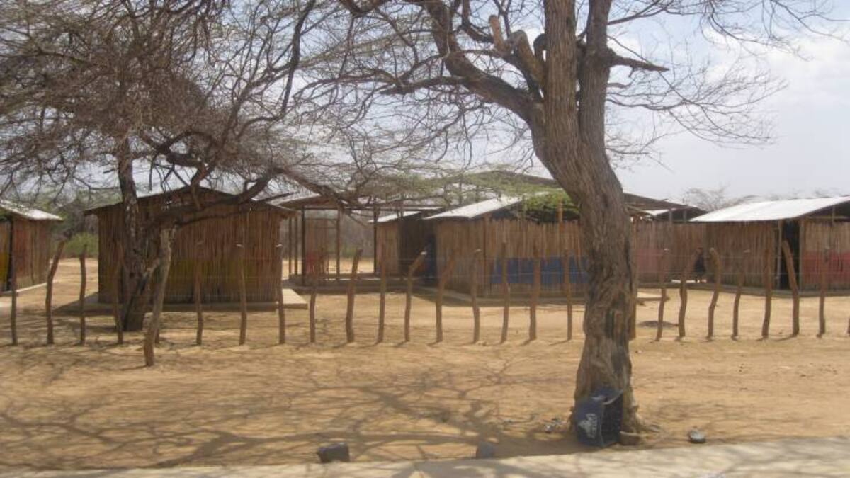 Yaletzi Gómez, la historia de la lideresa wayúu que recorre 15km diarios para estudiar