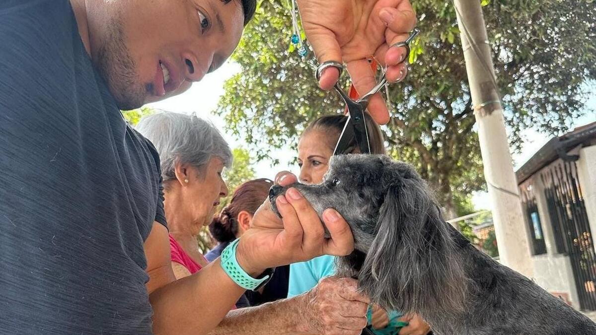 Andrés Felipe Díaz, animalista, es nuevo concejal de Bucaramanga