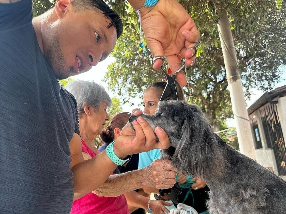 Un estilista canino es nuevo concejal de Bucaramanga