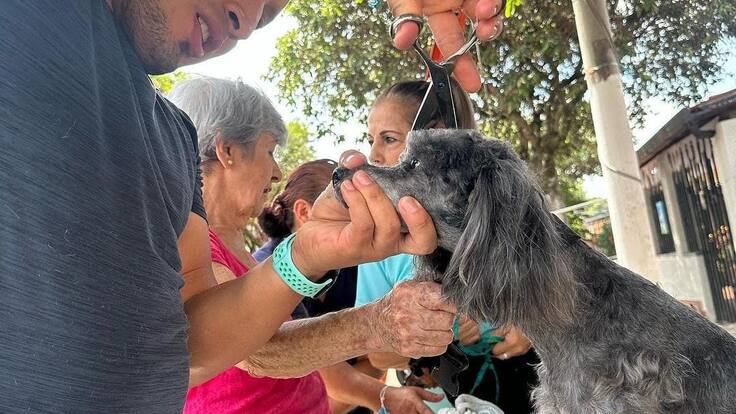 Andrés Felipe Díaz, animalista, es nuevo concejal de Bucaramanga