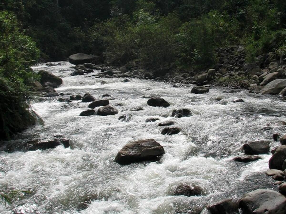 Concejal denuncia la presencia de heces en río Otún, Pereira
