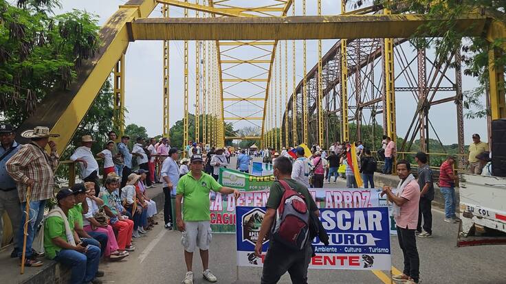 Colfecar advierte que el paro arrocero les ha generado una pérdida de $1.600 millones diarios