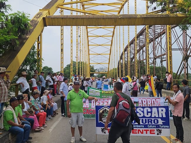 Colfecar advierte que el paro arrocero les ha generado una pérdida de $1.600 millones diarios