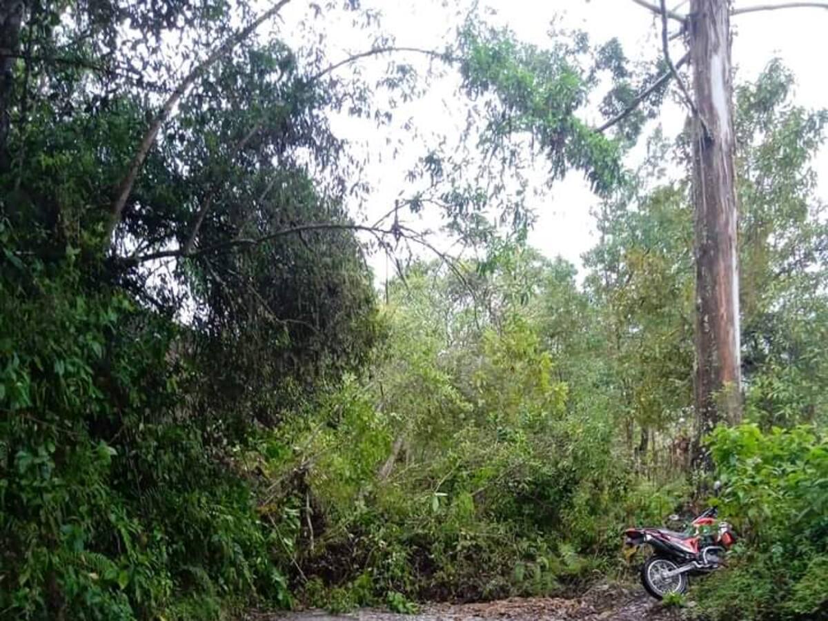 ¿Cuál es la situación de emergencias por lluvias en el municipio de Salento?