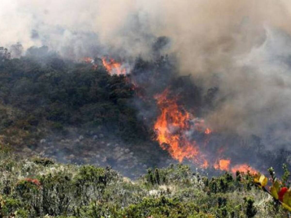 Incendios forestales ascienden a 152 en la Región Caribe